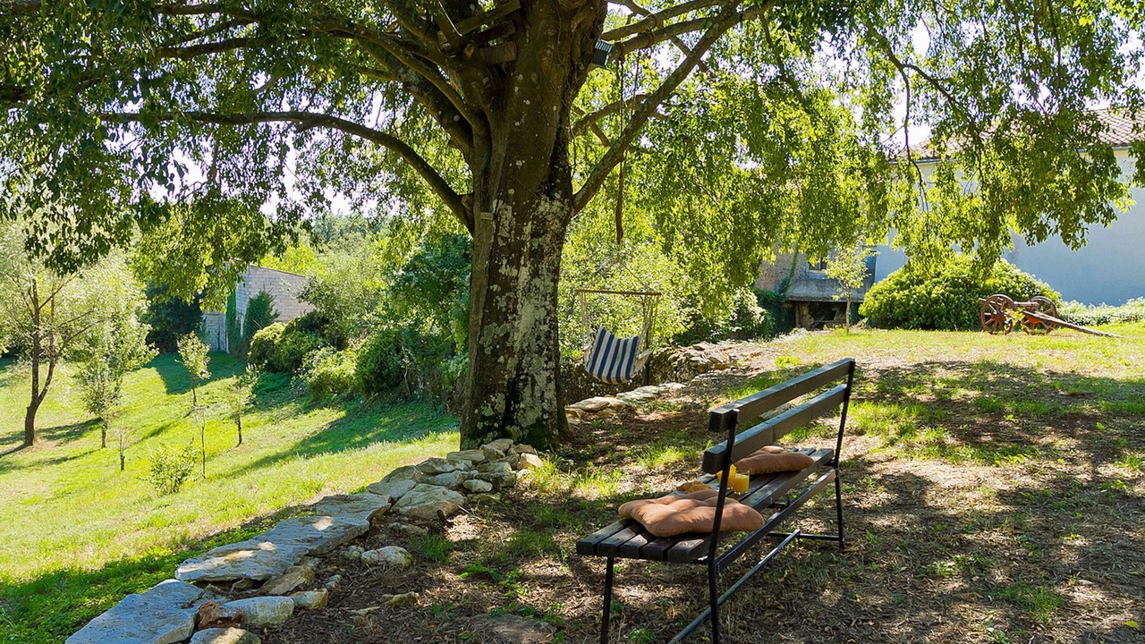 Photo of Outdoor in Grzini