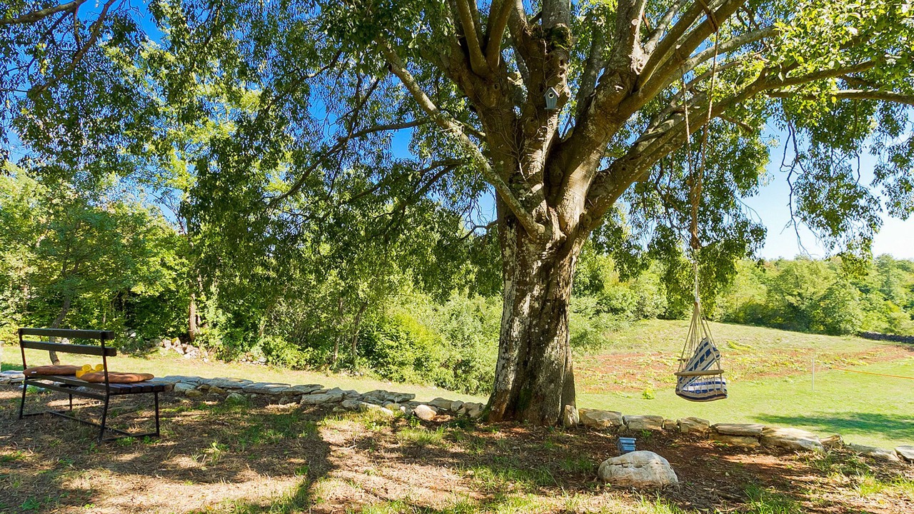 Photo of Outdoor in Grzini