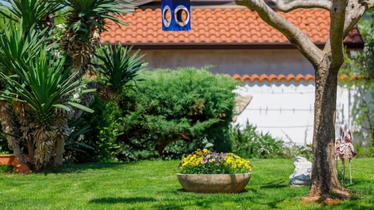 Photo of Outdoor in Finida