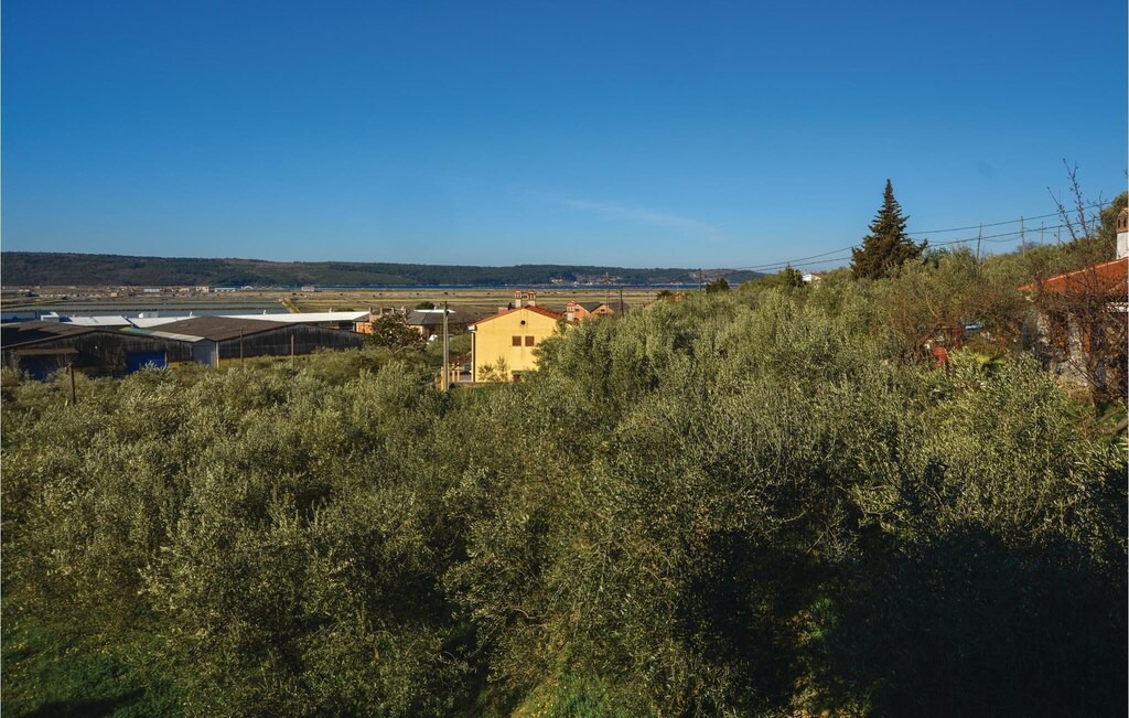 Photo of Outdoor in Seca