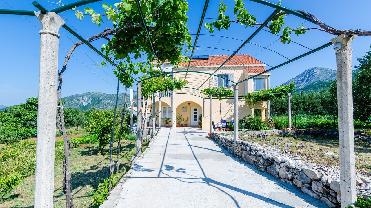 Photo of Outdoor in Banici