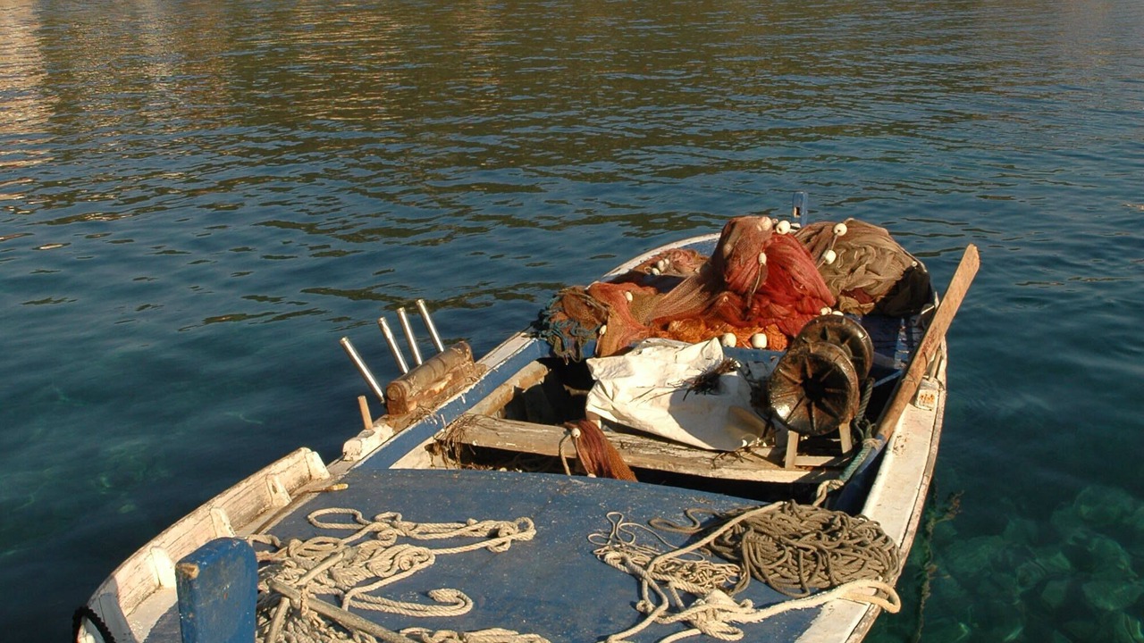 Photo of Others in Sudurad