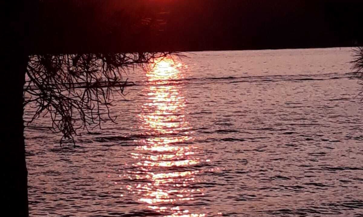 Photo of Others in Cove Osibova (Milna)