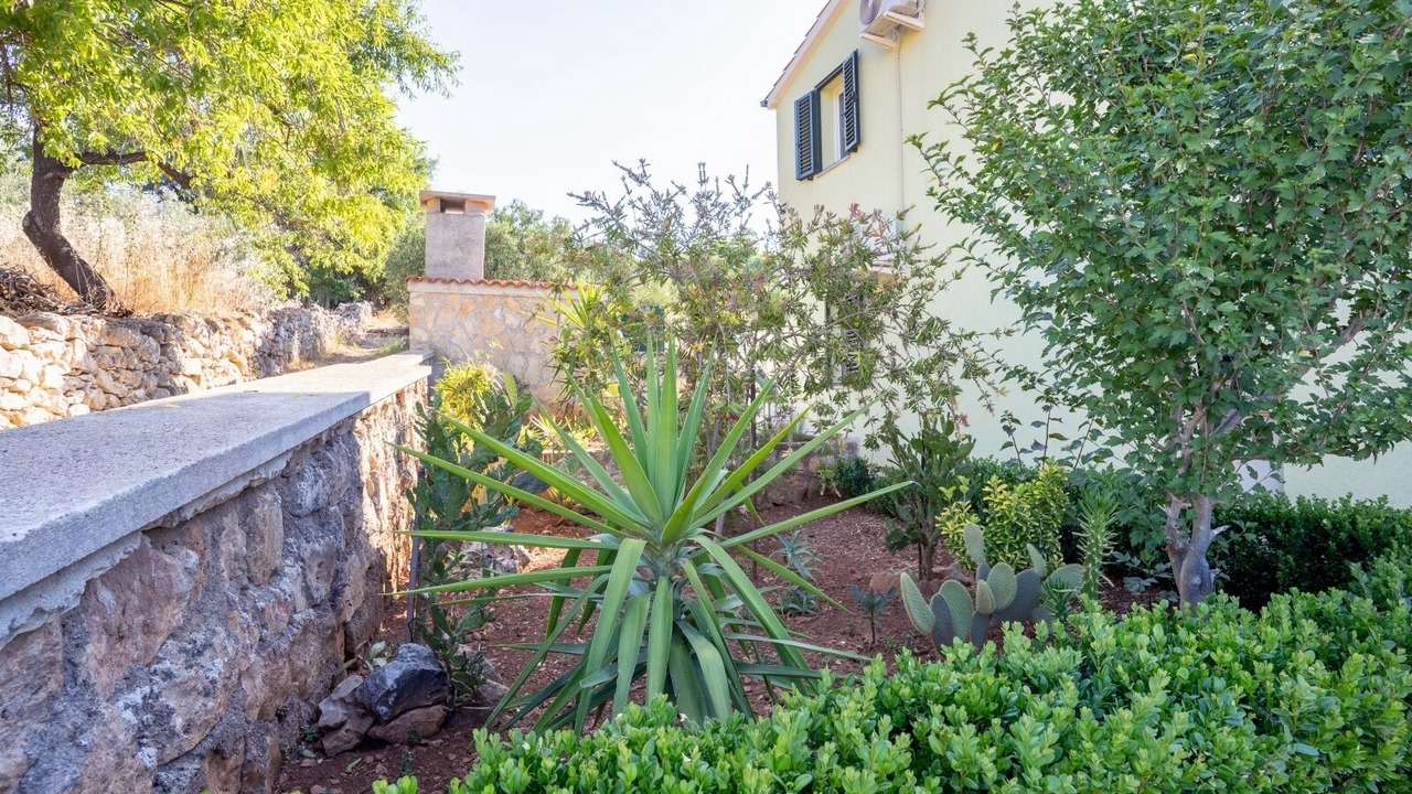 Photo of Outdoor in Island Dugi Otok