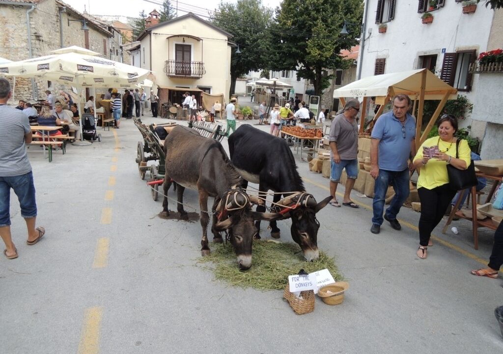 Photo of Others in Vrvari