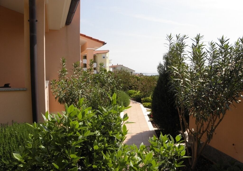 Photo of Outdoor in Premantura