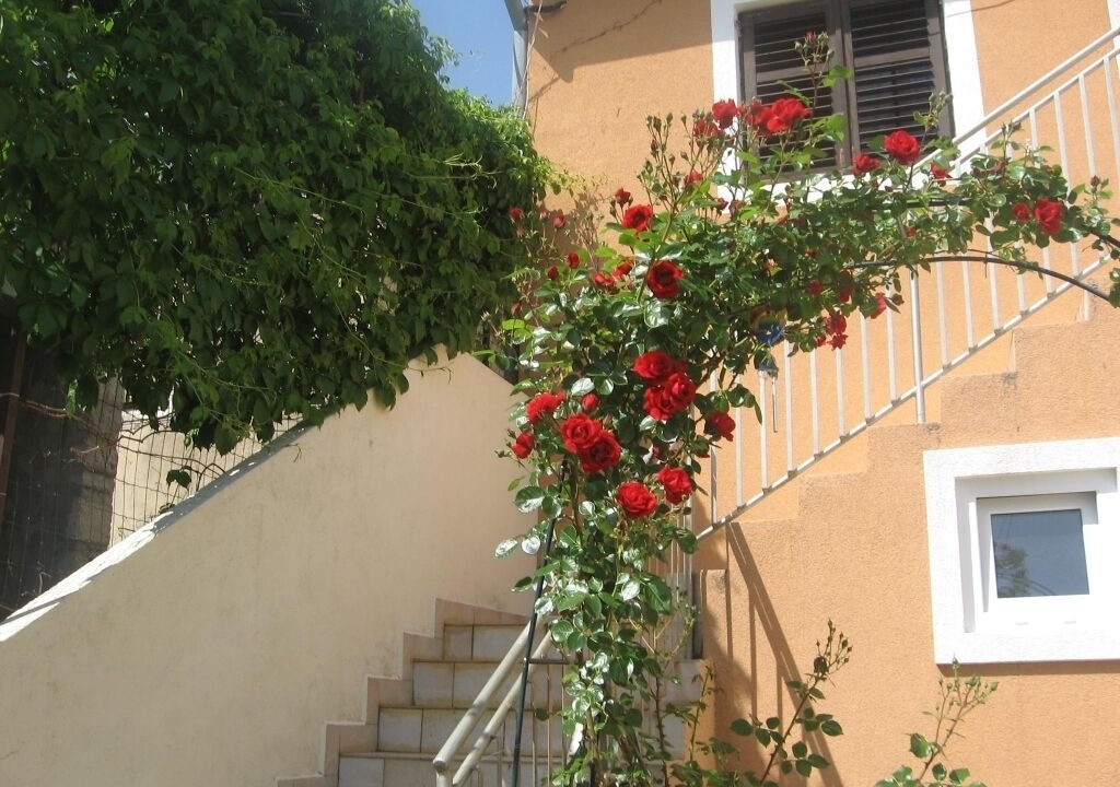 Photo of Outdoor in Prvic Luka