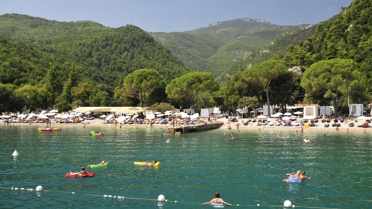 Photo of Others in Ika
