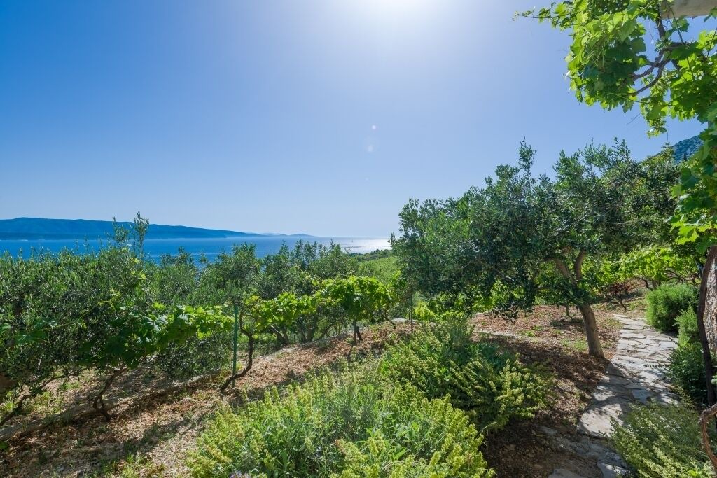Photo of Outdoor in Murvica