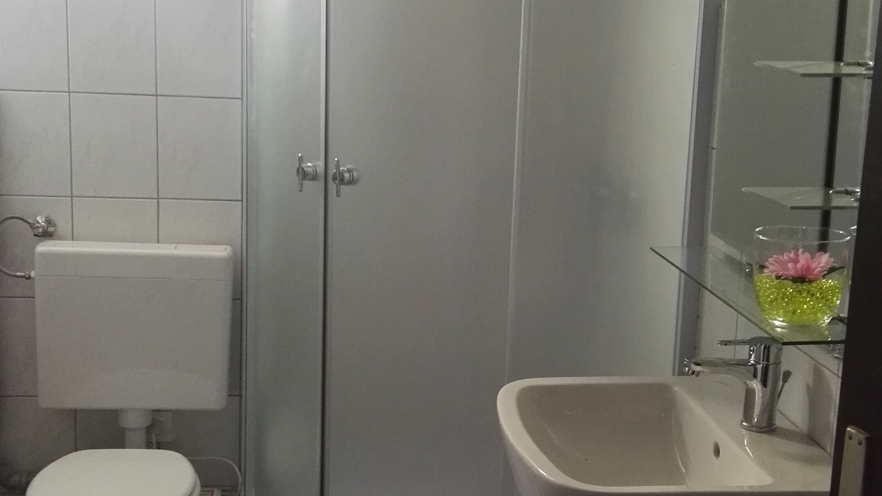 Photo of Bathroom in Zabreznica