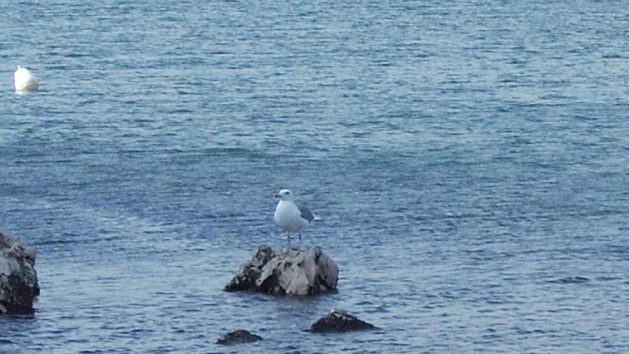 Photo of Others in Vinjerac
