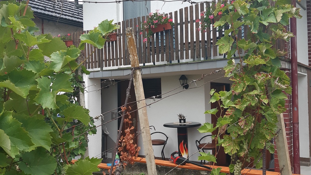 Photo of Outdoor in Vinica