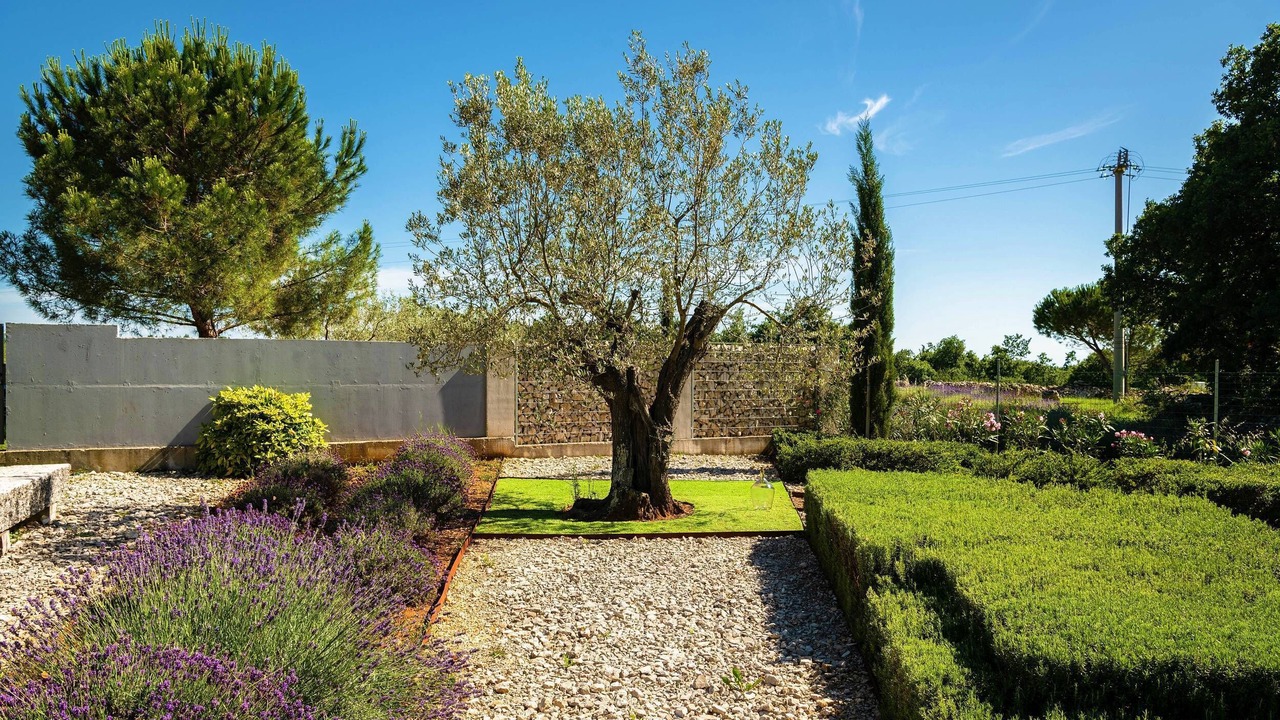 Photo of Outdoor in Jursici