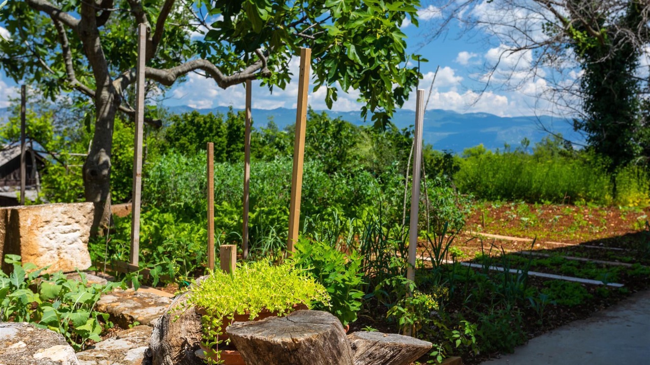 Photo of Outdoor in Dobrinj