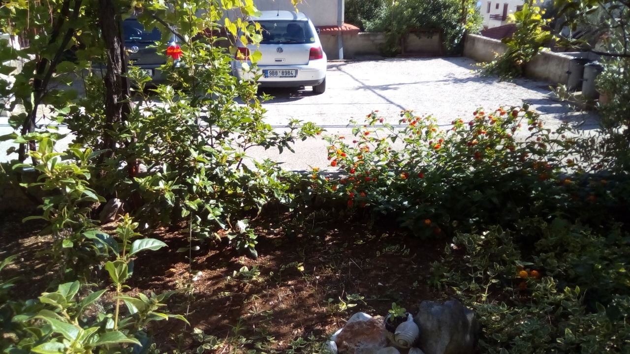 Photo of Outdoor in Ivan Dolac