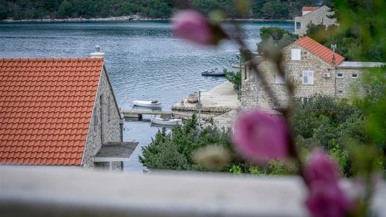 Photo of Others in Pomena