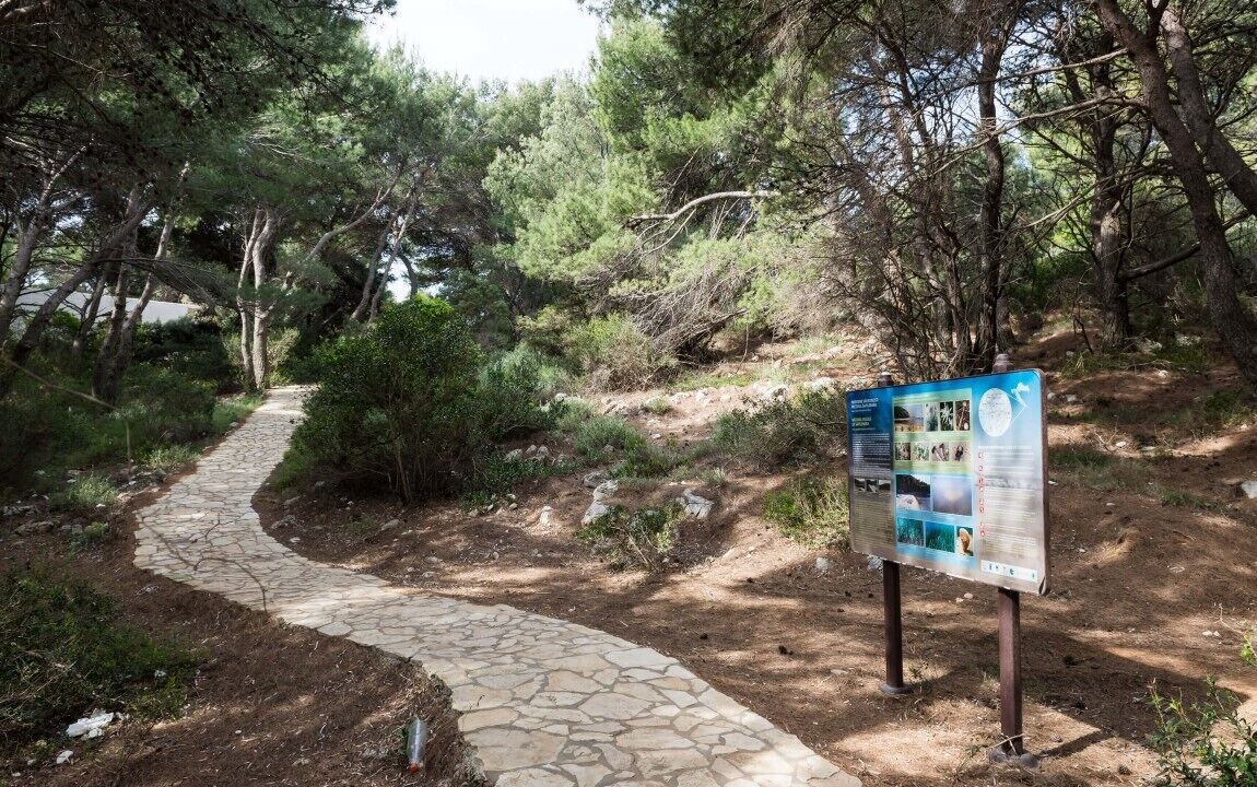Photo of Outdoor in Saplunara