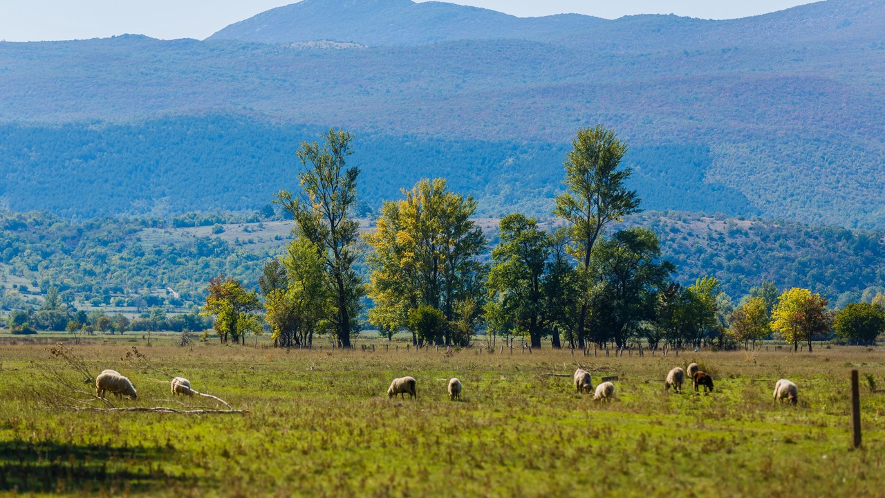 Photo of Outdoor in Civljane