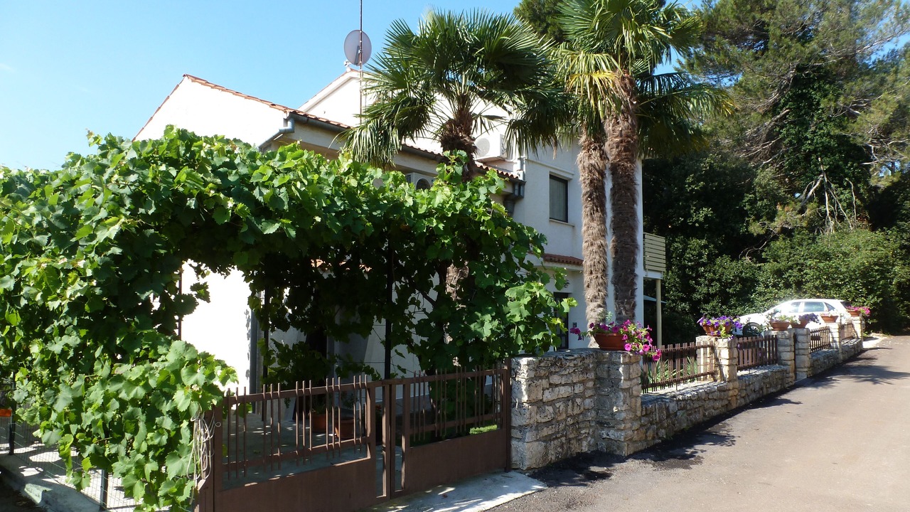 Photo of Outdoor in Borik