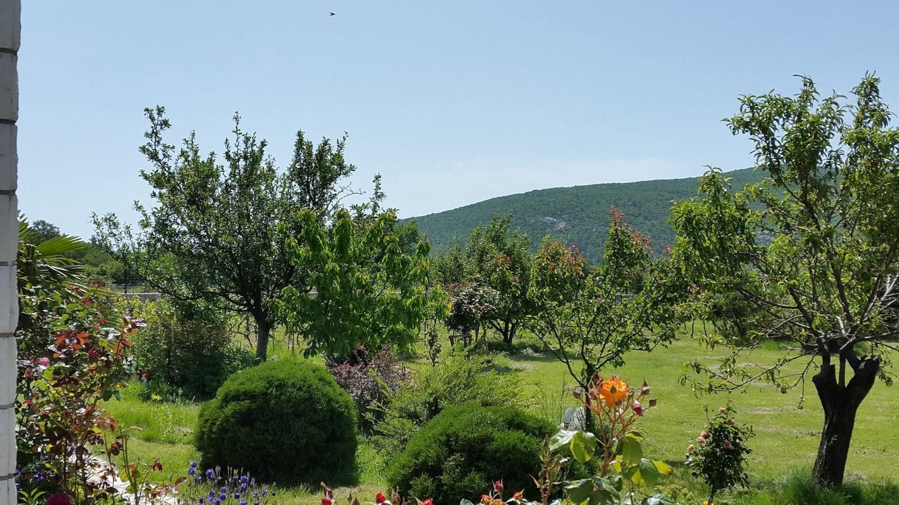 Photo of Outdoor in Neoric