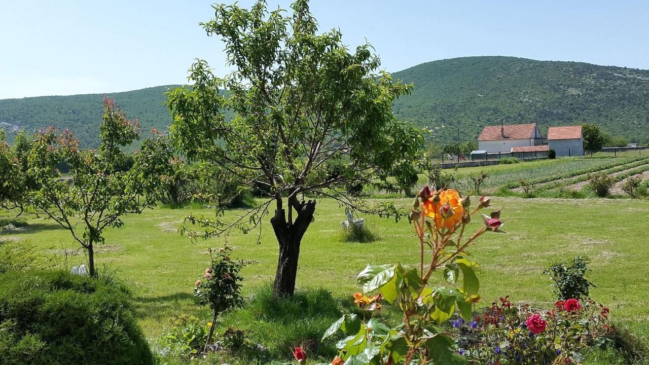 Photo of Outdoor in Neoric