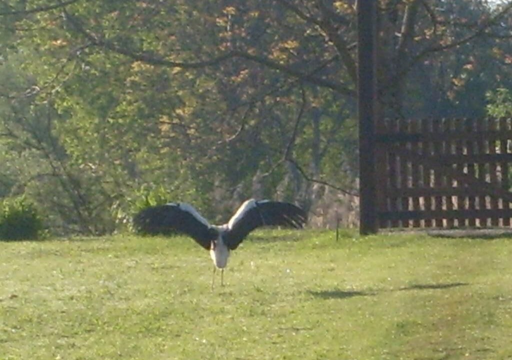 Photo of Outdoor in Inland Croatia