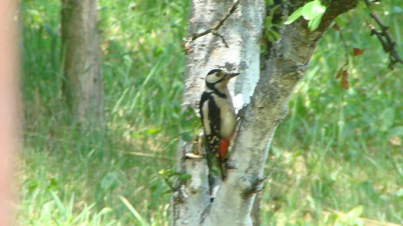 Photo of Others in Inland Croatia