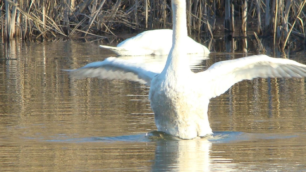 Photo of Others in Inland Croatia