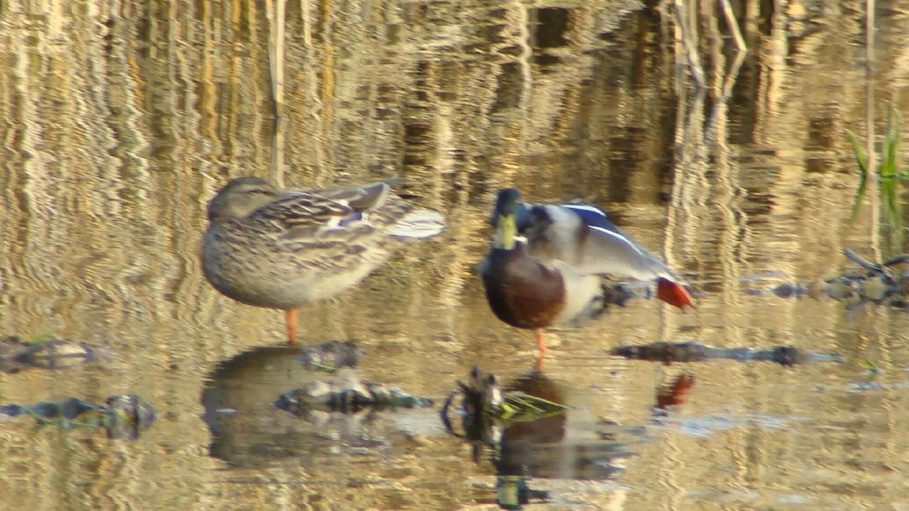 Photo of Others in Inland Croatia