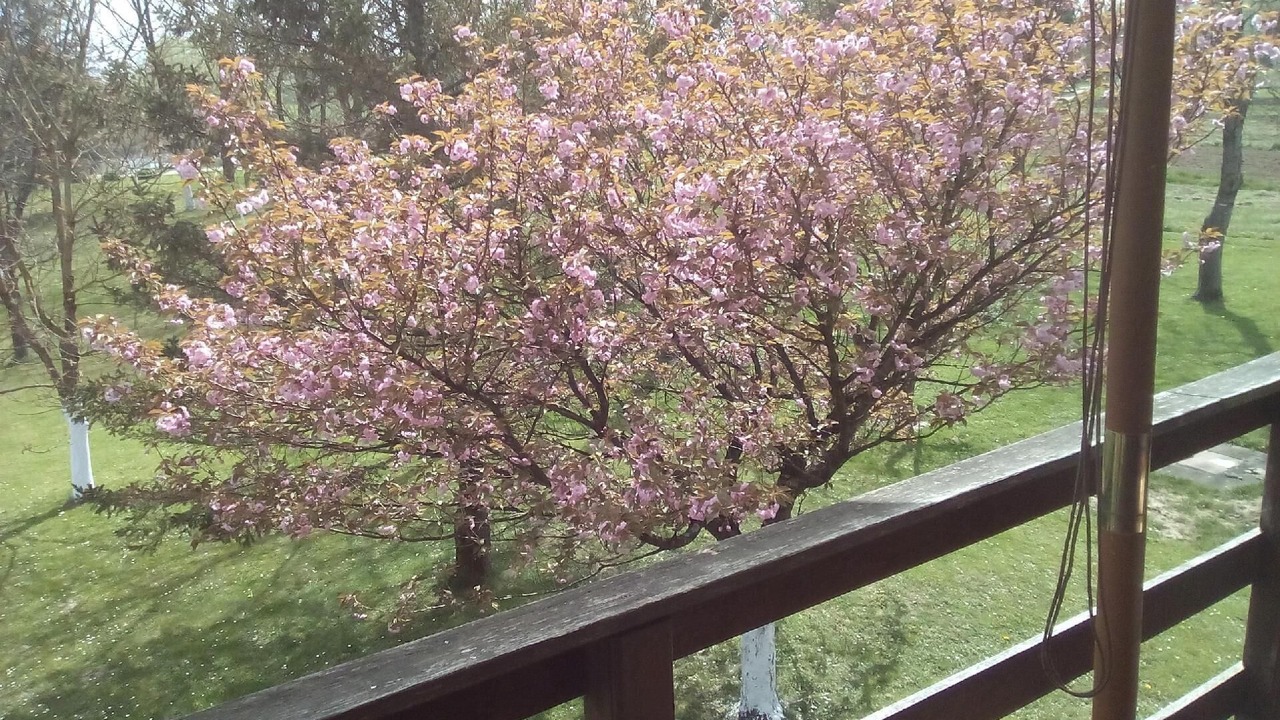Photo of Outdoor in Inland Croatia