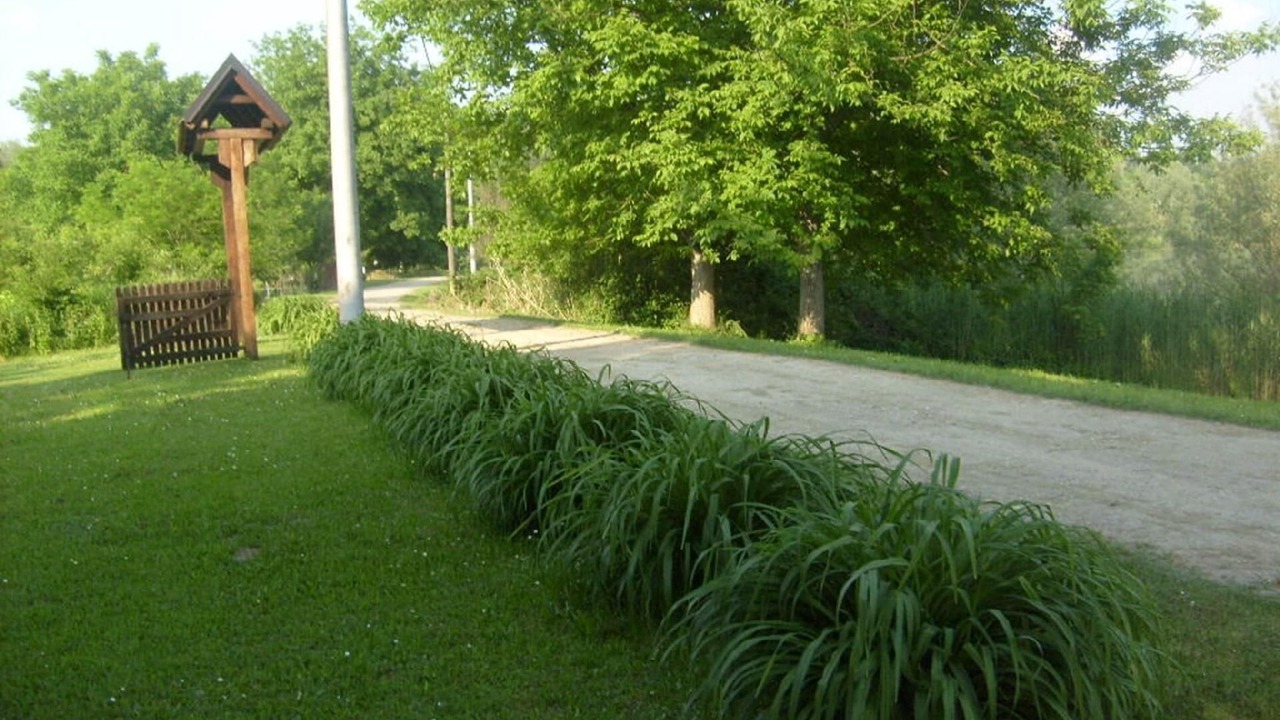 Photo of Outdoor in Inland Croatia