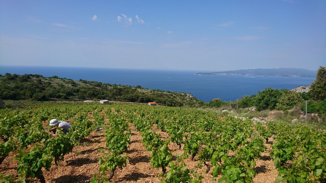 Photo of Outdoor in Donja Banda