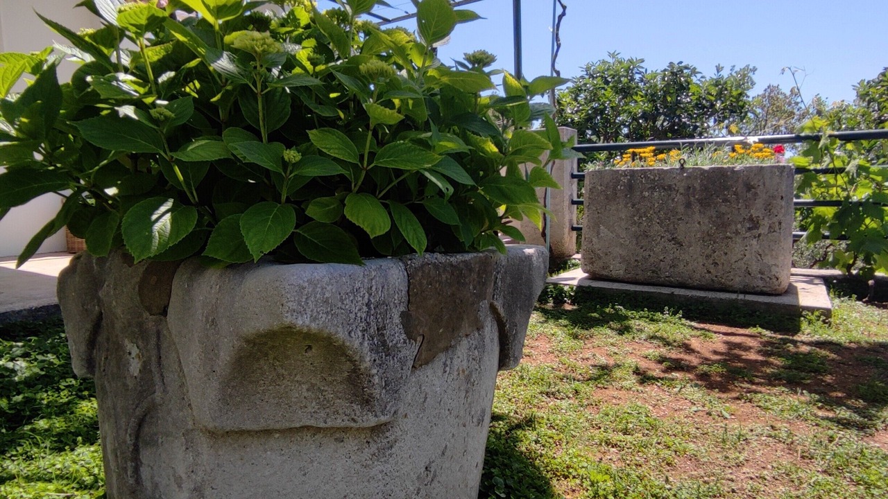 Photo of Outdoor in Banici