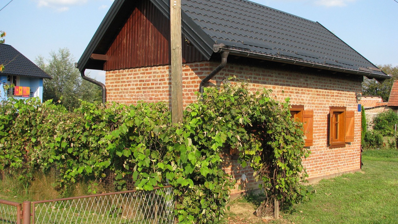 Photo of Outdoor in Popovaca