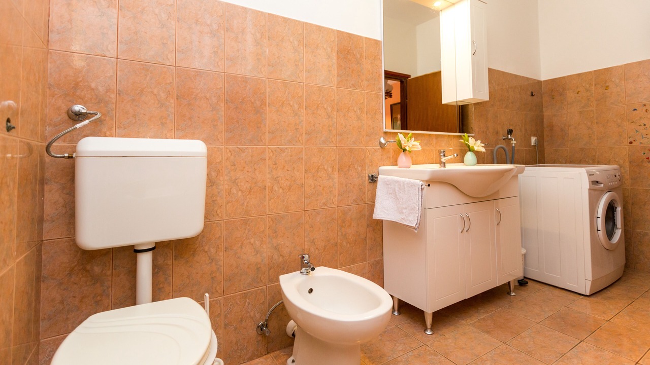 Photo of Bathroom in Lovinac
