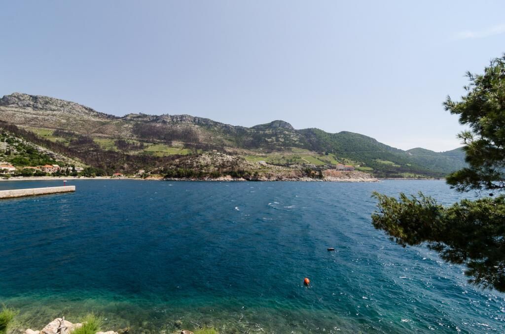 Photo of Others in Trstenik