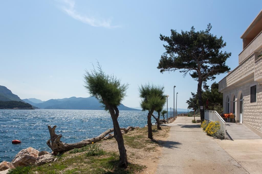 Photo of Outdoor in Trstenik