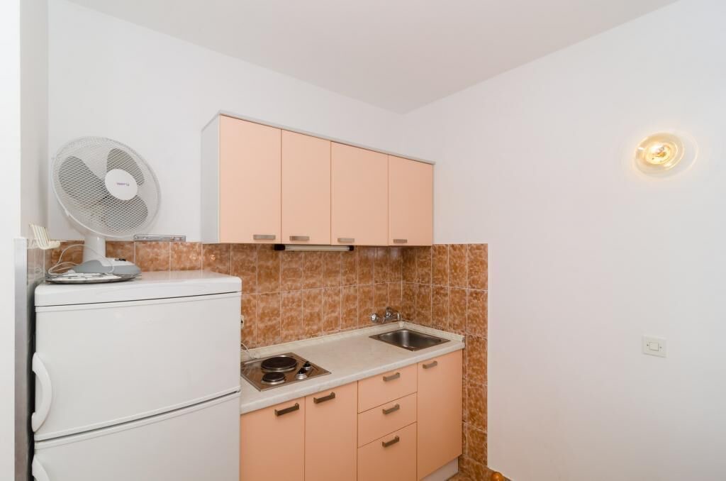 Photo of Kitchen in Trstenik