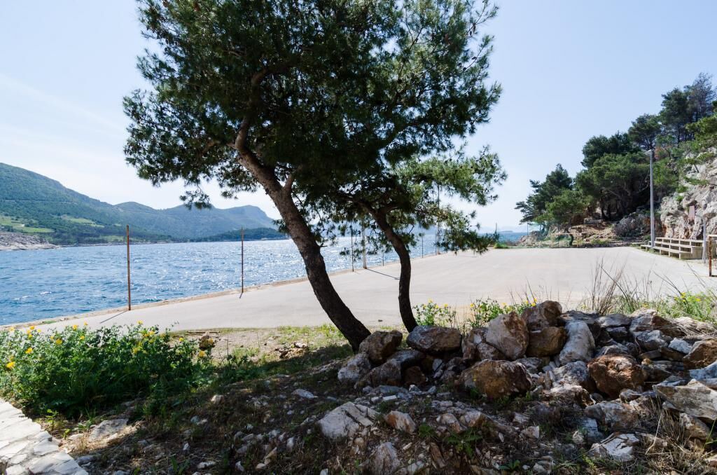Photo of Outdoor in Trstenik