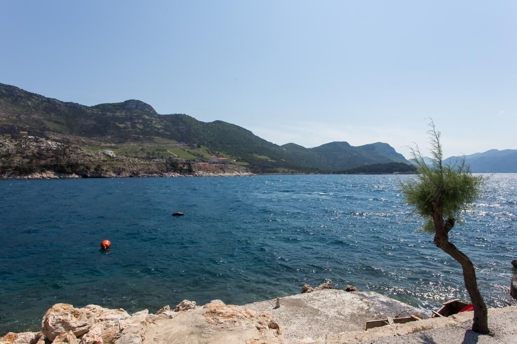 Photo of Others in Trstenik