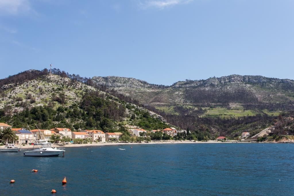 Photo of Others in Trstenik