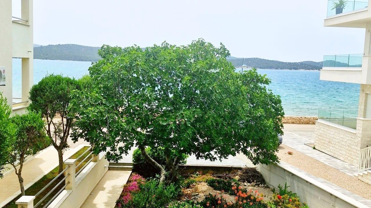 Photo of Others in Zaboric