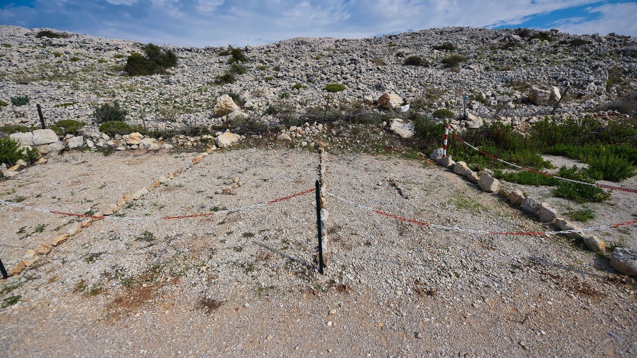 Photo of Others in Vidalici