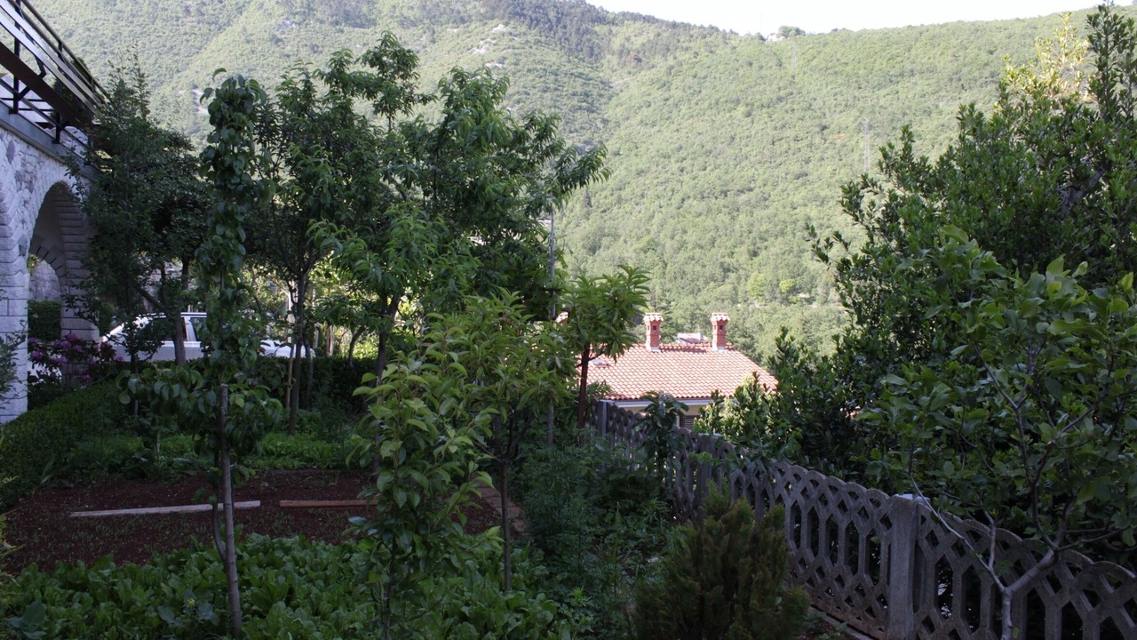 Photo of Others in Sucici