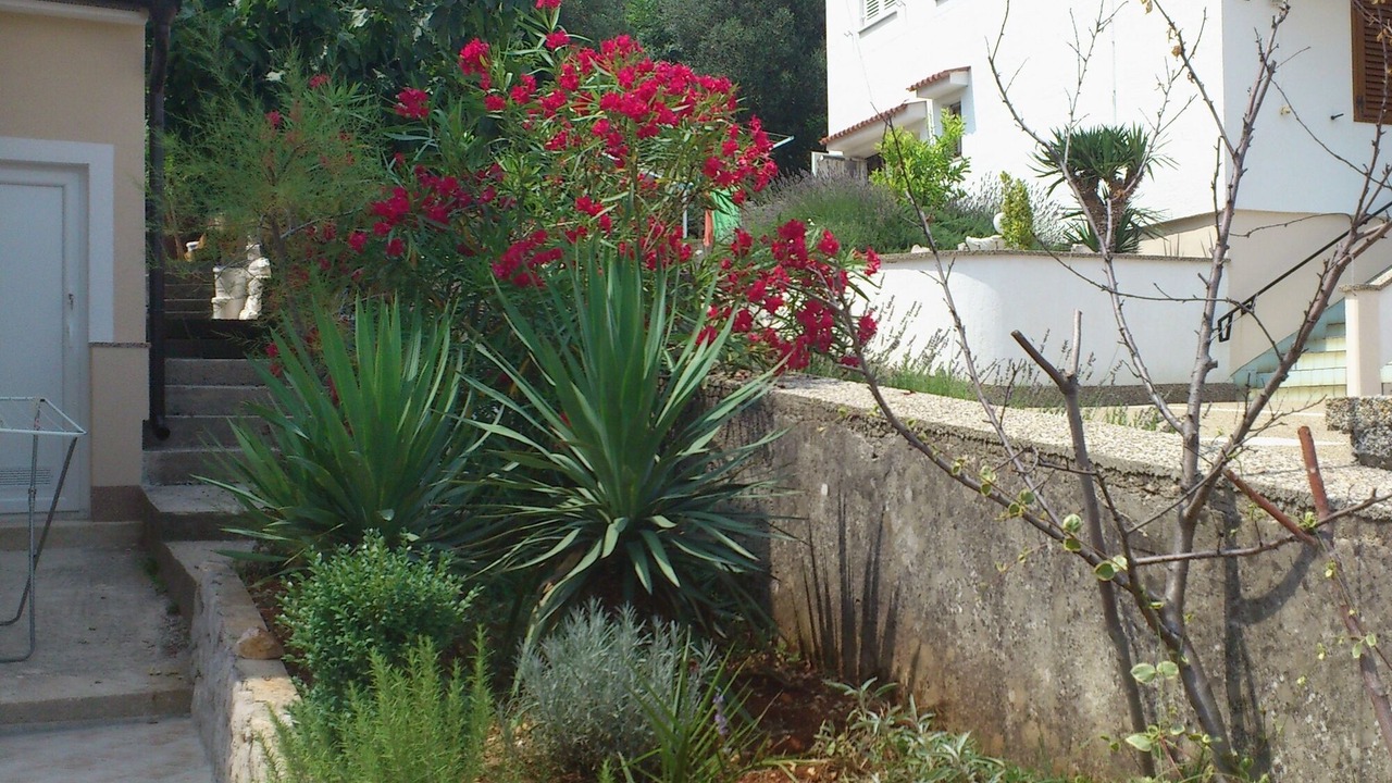 Photo of Outdoor in Cizici