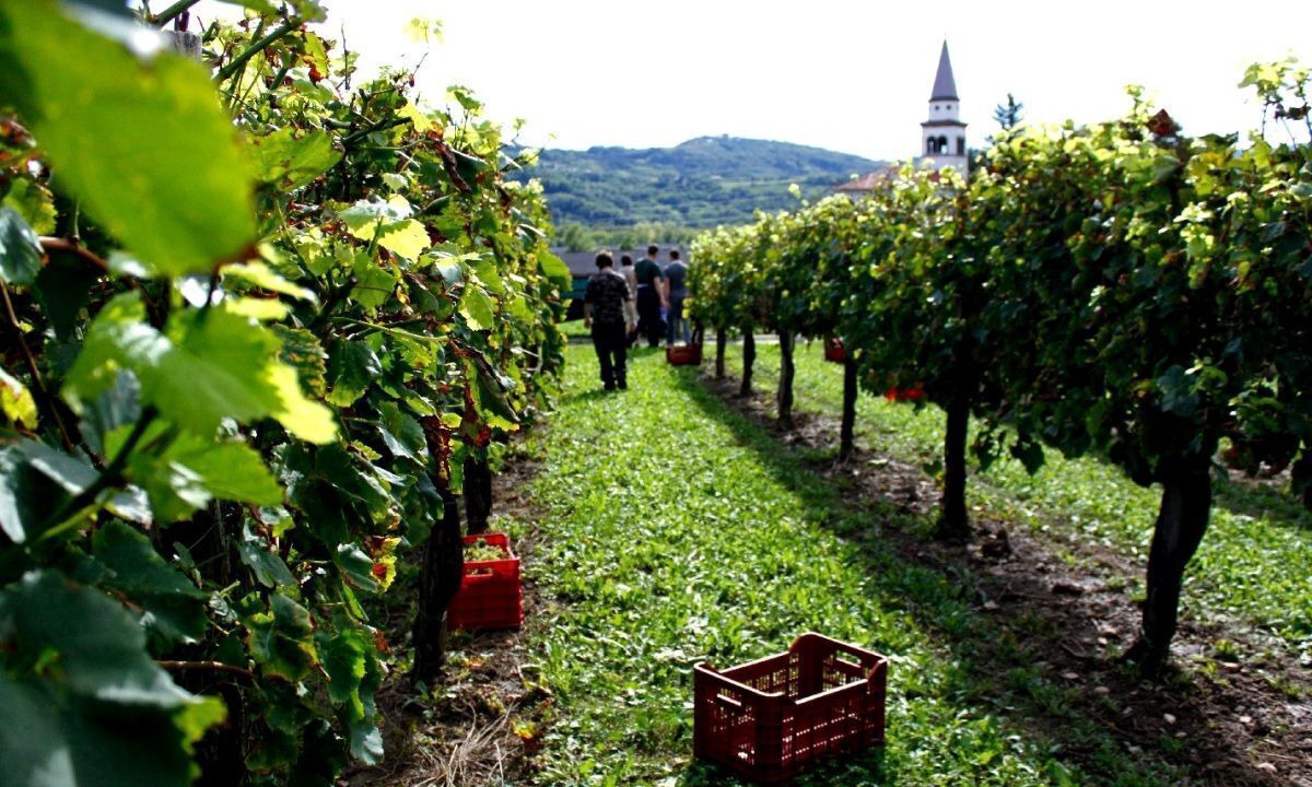 Photo of Others in Brda