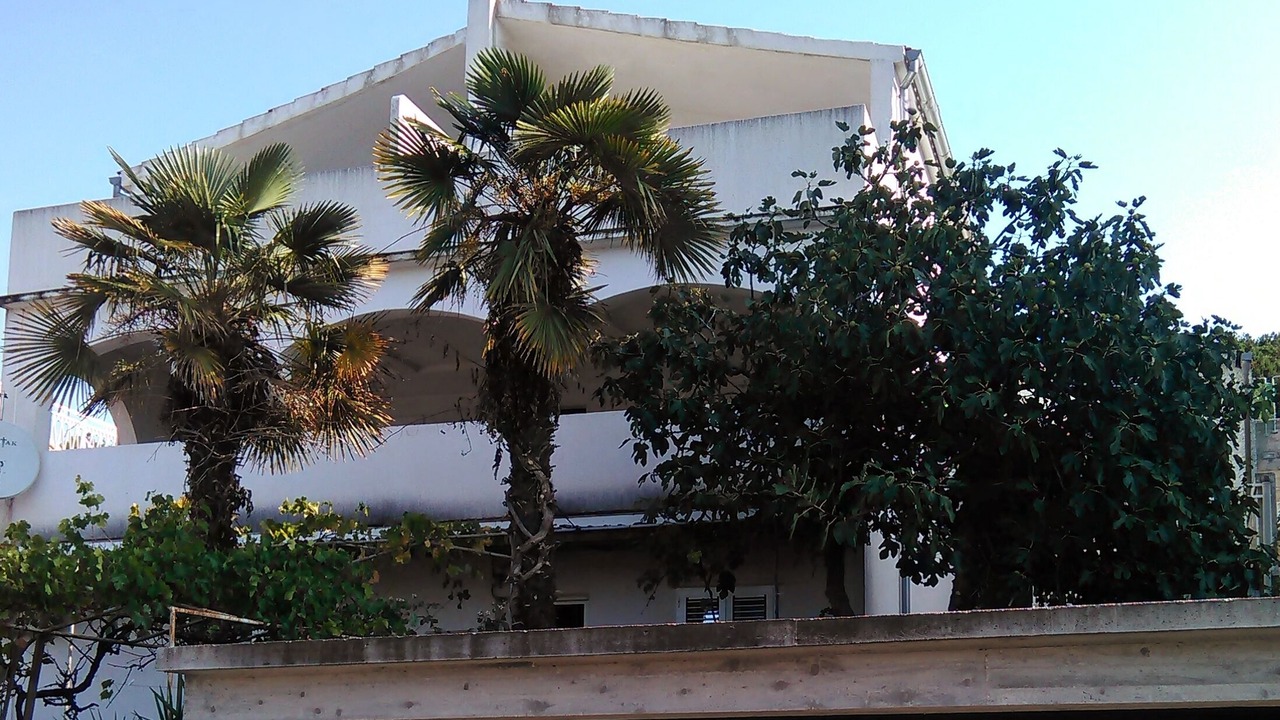 Photo of Outdoor in Tijesno