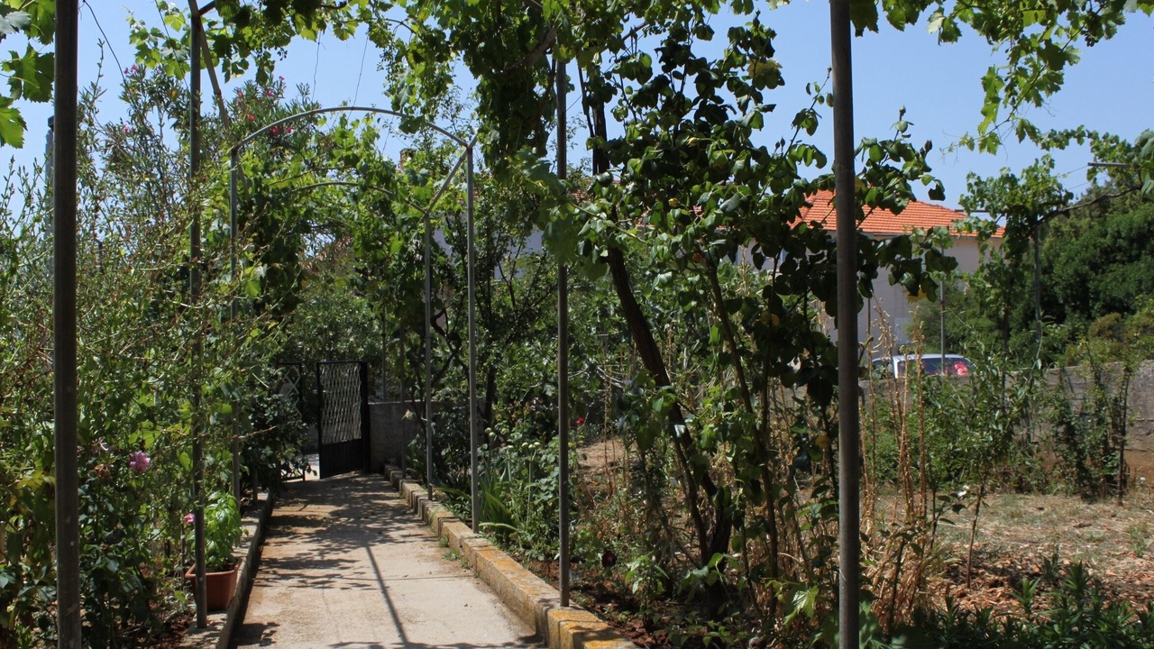 Photo of Outdoor in Verunic