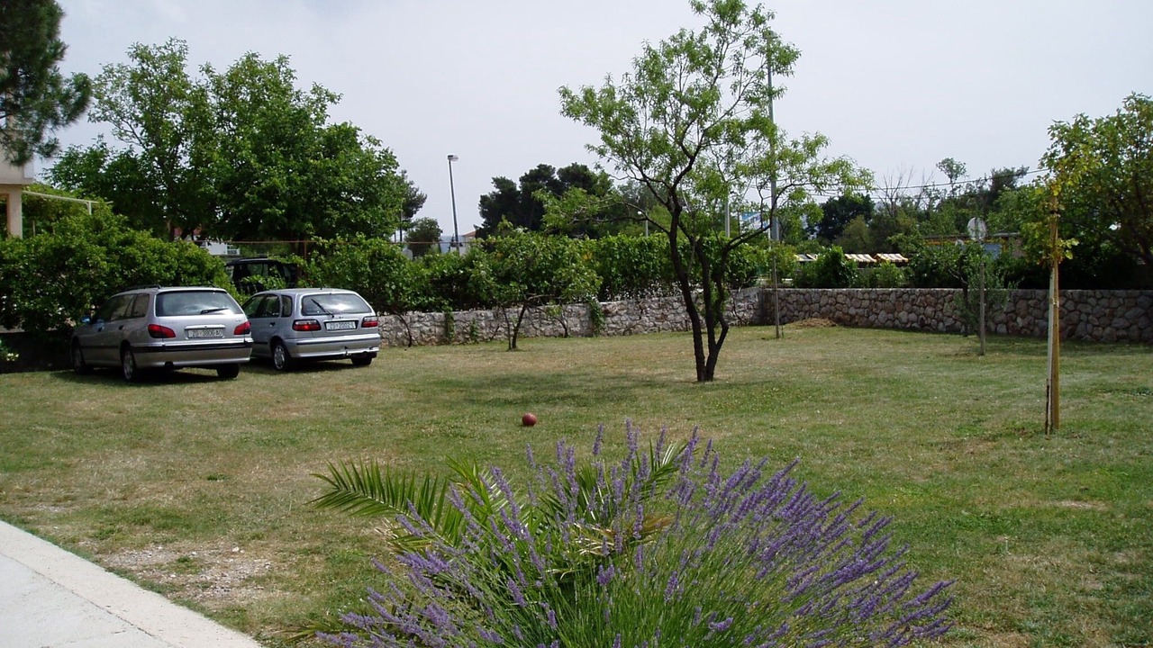 Photo of Others in Starigrad
