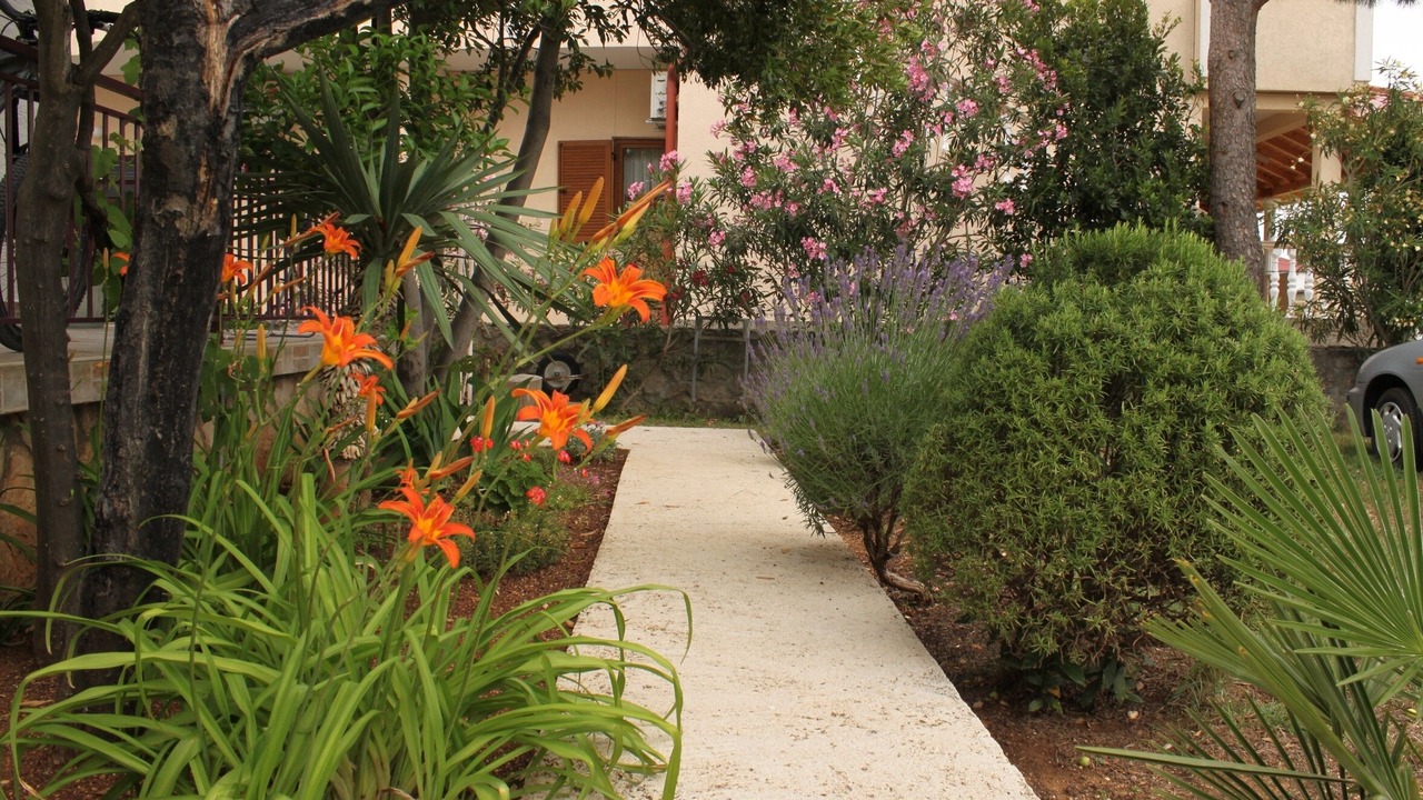 Photo of Outdoor in Starigrad
